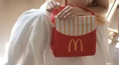 シンガポール マクドナルド限定 ランチバッグ 新品
