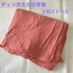 《水通しのみ》ヂェン先生の日常着　大判ストール