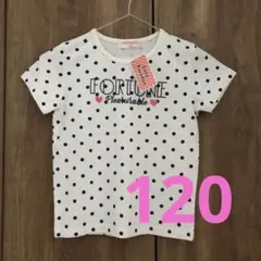 新品未使用⋱✮⋰120cm 半袖Tシャツ⋱✮⋰ドット柄