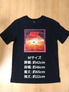 週末価格 NIKE グラフィックプリント Tシャツ 黒 夕陽 イルカ Mサイズ