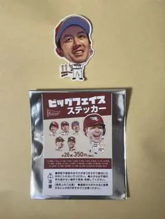 楽天イーグルス ビックフェイス ステッカー 岸孝之