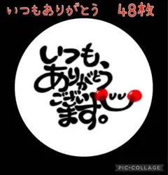 【TH08】サンキューシール いつもありがとうございます 感謝 お礼 48枚
