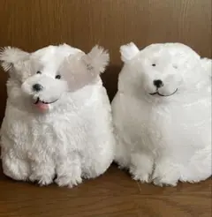 グレートピレニーズ　ファニーフェイス2種