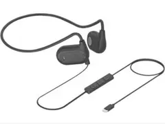 Item thumbnail for item 47b88db5-4d69-4a29-a52f-4469d991183c