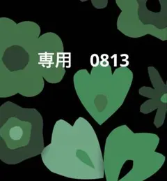 専用0813
