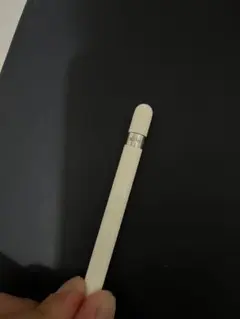 Apple Pencil (第1世代) 純正