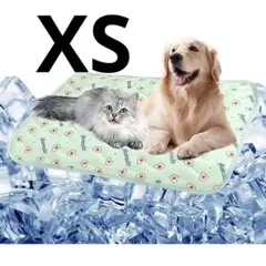 Item thumbnail for item 8055c959-a3d8-4143-865b-61cebc0fc509