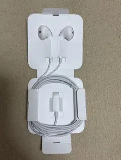 Apple純正イヤホン