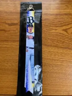 オリックス フォトボンフィン第2弾 34 横山聖哉選手