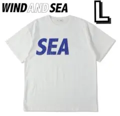 WIND AND SEA Tシャツ L ホワイト (CRACK-P-DYE)