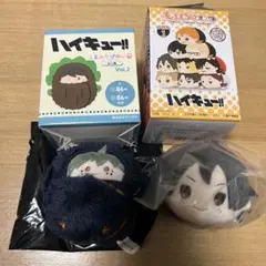 ハイキュー　山口忠　くるみたぴぬい　もちもちマスコット　もちマス