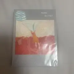 PEDRO 「飛んでゆけ」 2枚組 CD