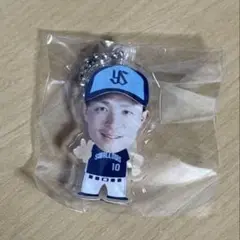 東京ヤクルトスワローズ　宮本丈　CREWDAY
