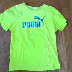 キッズ　プーマ　Tシャツ　160サイズ