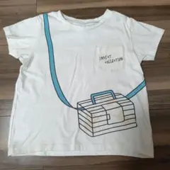 INSECT COLLECTION Tシャツ 130cm