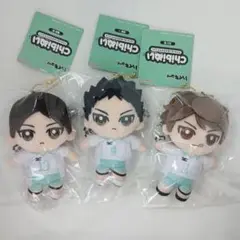 ハイキュー 青葉城西 Chibiぬいおすわりマスコット ぬいぐるみ キーホルダー