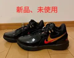 NIKE、レブロン NXXT Gen AMPD EP、26センチ