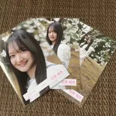 櫻坂46 目黒陽色 12th 制服 生写真 コンプ