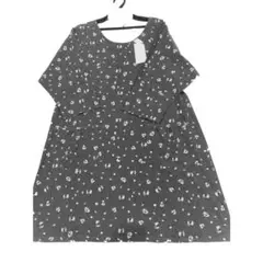 Item thumbnail for item 22d45d4e-4d68-4053-9328-932a5e6e3153