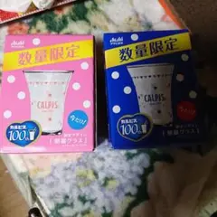 カルピス 朝顔グラス 数量限定