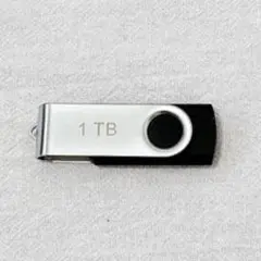 USB のフラッシュ ドライブ 1TB ブラック
