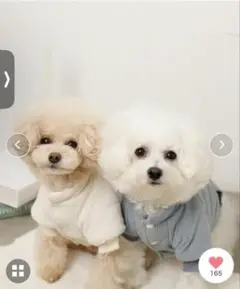 Item thumbnail for item 82447a05-b298-45ad-8069-0faf6648a834