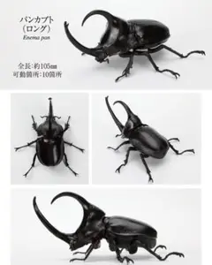 いきもの大図鑑かぶとむし09 パンカブト（ロング）カプセル版