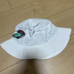 Item thumbnail for item df519242-2d21-4a57-a5b5-015ae8e3ab2d