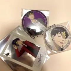 東リベ　半間　缶バッジ　マリオン　frame collection AGF