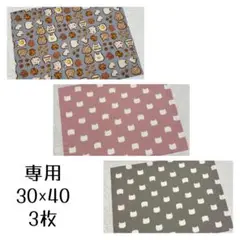 【専用】ランチョンマット 30×40 猫ちゃん柄　3枚セット　給食用