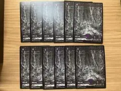MTG 沼 ショーケース日本語版 12枚セット
