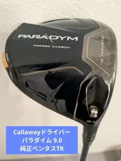 PARADYM ドライバー 9.0 ロフト 純正ベンタスTR