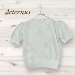 Aeternus⭐︎ニット⭐︎サマーセーター⭐︎ラメ⭐︎パフスリーブ⭐︎リボン柄 ⭐︎日本製
