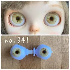 訳あり彫刻　アイチップ　ブライス　アイシードール　立体　粘土341