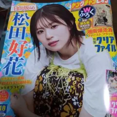 ヤングチャンピン