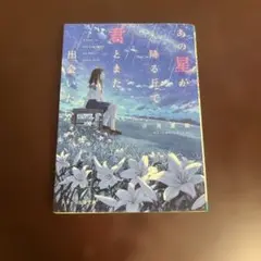 あの星が降る丘で君とまた出会いたい