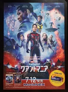 【映画館用両面ポスター】アントマン＆ワスプ：クアントマニア　Ver.A Amazon.co.jp: 映画 アントマン＆ワスプ：クアントマニア