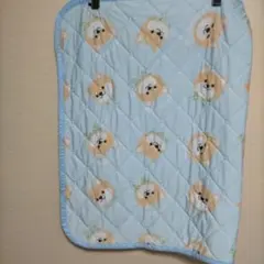 Item thumbnail for item cf20d4d0-9448-44bc-8228-9510b9fb7575