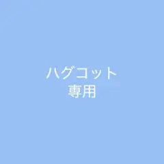 専用ページ