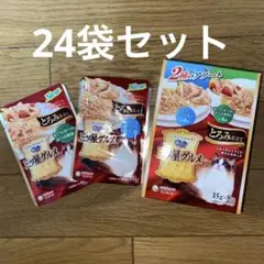 銀のスプーン 三ツ星グルメ 24袋セット