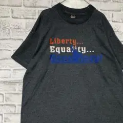 USA製90sヴィンテージTシャツ！シングルステッチ　グレー半袖古着　XL725