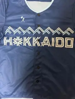 北海道日本ハムファイターズWE LOVE HOKKAIDO ユニフォーム