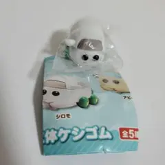 PUIPUI モルカー × くら寿司 立体ケシゴム【シロモ】