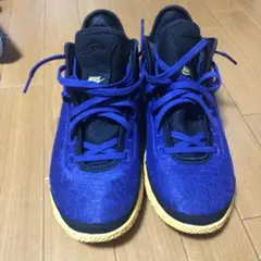 Nike レブロンnext gene レイカーズカラー