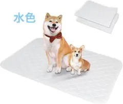 Item thumbnail for item 31d4bd3a-360d-4b12-b330-0327e613a964