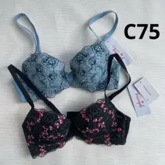 トリンプ　ブラジャー　美胸メイク　C75 2点セット