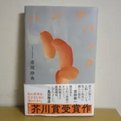 ハンチバック 市川沙央