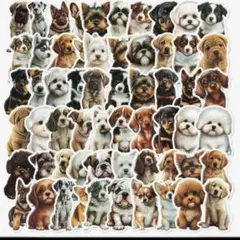 Item thumbnail for item 10f867b9-6325-49f1-b822-cf8dcf2dea6a