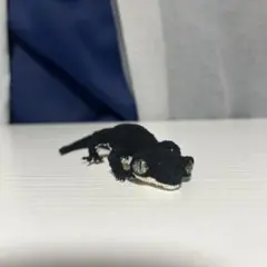 レオパ あみぐるみ ヒョウモントカゲモドキ