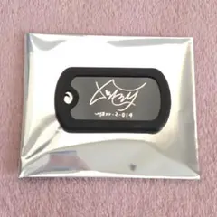デイリン　無期迷途　KTP メタルキーホルダー